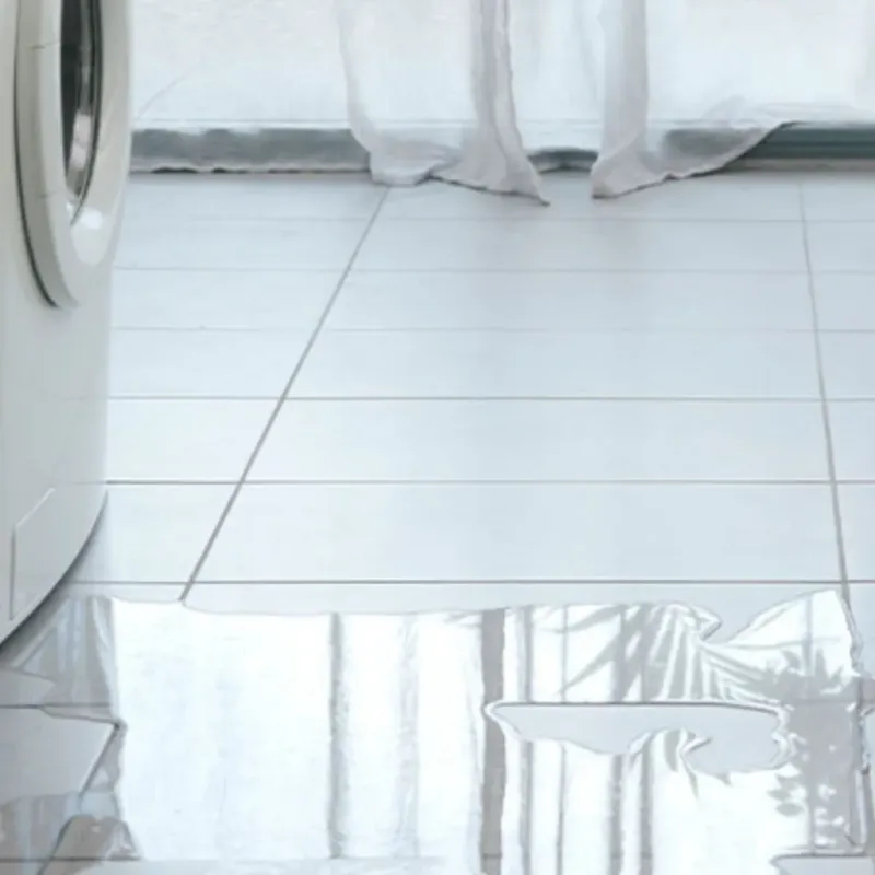 Appliance Leak Cleanup in Altoona, WI