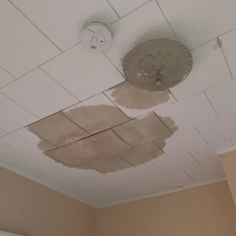 Ceiling Water Damage Repair in Altoona, WI