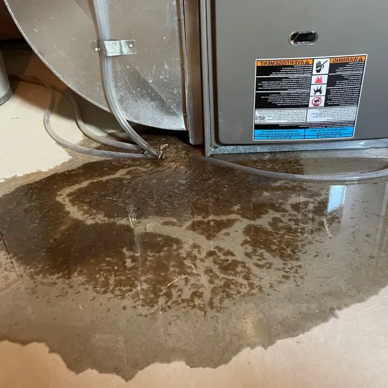 Pipe Burst and Leak Restoration in Altoona, WI