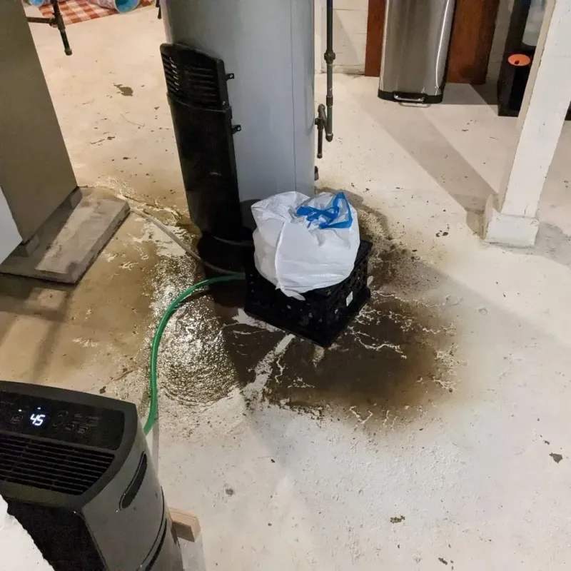 Sewage Backup Cleanup Service in Altoona, WI